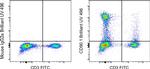 CD90.1 (Thy-1.1) Antibody in Flow Cytometry (Flow)