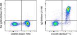 Mouse IgD Antibody in Flow Cytometry (Flow)