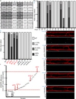 Connexin 36 Antibody in Immunohistochemistry (IHC)