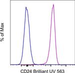 CD24 Monoclonal Antibody (eBioSN3 (SN3 A5-2H10)), Brilliant Ultra Violet™ 563, eBioscience™