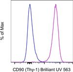 CD90 (Thy-1) Monoclonal Antibody (eBio5E10 (5E10)), Brilliant Ultra Violet™ 563, eBioscience™