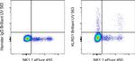 KLRG1 Antibody in Flow Cytometry (Flow)