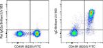 Mouse IgD Antibody in Flow Cytometry (Flow)