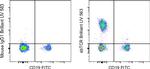TCR alpha/beta Antibody in Flow Cytometry (Flow)