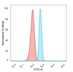 Pancreatic duodenal homeobox-1 protein (PDX1) Antibody in Flow Cytometry (Flow)