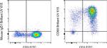 CD69 Monoclonal Antibody (FN50), Brilliant Ultra Violet™ 615, eBioscience™