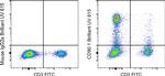 CD90.1 (Thy-1.1) Antibody in Flow Cytometry (Flow)