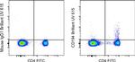 CD194 (CCR4) Monoclonal Antibody (D8SEE), Brilliant Ultra Violet™ 615, eBioscience™