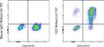CD7 Antibody in Flow Cytometry (Flow)