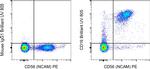 CD16 Monoclonal Antibody (eBioCB16 (CB16)), Brilliant Ultra Violet™ 805, eBioscience™