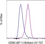 CD80 (B7-1) Monoclonal Antibody (2D10.4), Brilliant Ultra Violet™ 737, eBioscience™