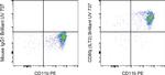 CD85j (ILT2) Monoclonal Antibody (HP-F1), Brilliant Ultra Violet™ 737, eBioscience™