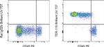 TER-119 Monoclonal Antibody (TER-119), Brilliant Ultra Violet™ 737, eBioscience™