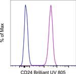 CD24 Monoclonal Antibody (eBioSN3 (SN3 A5-2H10)), Brilliant Ultra Violet™ 805, eBioscience™