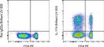 IL-17A Monoclonal Antibody (eBio17B7), Brilliant Ultra Violet™ 805, eBioscience™