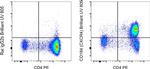 CD184 (CXCR4) Monoclonal Antibody (2B11), Brilliant Ultra Violet™ 805, eBioscience™