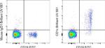 CD1c Monoclonal Antibody (L161), Brilliant Ultra Violet™ 661, eBioscience™