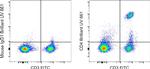 CD4 Antibody in Flow Cytometry (Flow)