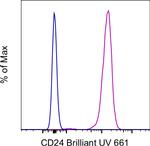 CD24 Monoclonal Antibody (eBioSN3 (SN3 A5-2H10)), Brilliant Ultra Violet™ 661, eBioscience™