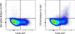 CD163 Monoclonal Antibody (TNKUPJ), Brilliant Ultra Violet™ 661, eBioscience™