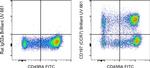 CD197 (CCR7) Antibody in Flow Cytometry (Flow)