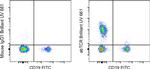 TCR alpha/beta Antibody in Flow Cytometry (Flow)