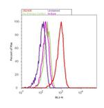 PSME1 Antibody in Flow Cytometry (Flow)