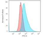 Cytokeratin 17 (KRT17) (Basal Epithelial Marker) Antibody in Flow Cytometry (Flow)