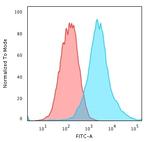 Cytokeratin 19 (KRT19) Antibody in Flow Cytometry (Flow)
