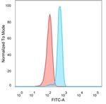 BOLA3 (Transcription Factor) Monoclonal Antibody (PCRP-BOLA3-1A5)