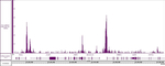 Ets-1 Antibody in CUT&RUN (CUT&RUN)