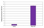 Histone H2Av Antibody in ChIP Assay (ChIP)