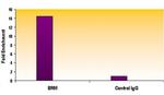 SMARCA2 / BRM Antibody in ChIP Assay (ChIP)