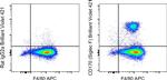 CD170 (Siglec F) Monoclonal Antibody (1RNM44N), Brilliant Violet™ 421, eBioscience™