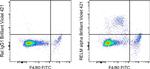 RELM alpha Antibody in Flow Cytometry (Flow)