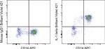 IL-1 beta Antibody in Flow Cytometry (Flow)