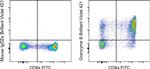 Granzyme B Antibody in Flow Cytometry (Flow)