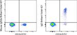 Human IgD Monoclonal Antibody (IA6-2), Brilliant Violet™ 421, eBioscience™