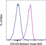 CD105 (Endoglin) Antibody in Flow Cytometry (Flow)