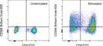 CD366 (TIM3) Monoclonal Antibody (F38-2E2), Brilliant Violet™ 605, eBioscience™