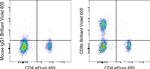 CD8b Antibody in Flow Cytometry (Flow)