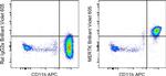 MERTK Monoclonal Antibody (DS5MMER), Brilliant Violet™ 605, eBioscience™