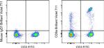 CD8a Antibody in Flow Cytometry (Flow)
