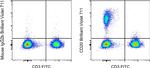 CD20 Antibody in Flow Cytometry (Flow)