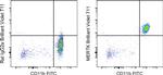 MERTK Monoclonal Antibody (DS5MMER), Brilliant Violet™ 711, eBioscience™