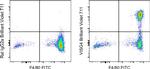 VSIG4 Monoclonal Antibody (NLA14), Brilliant Violet™ 711, eBioscience™