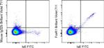 FceR1 alpha Monoclonal Antibody (AER-37 (CRA1)), Brilliant Violet™ 711, eBioscience™