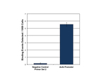 HDAC1 Antibody in ChIP Assay (ChIP)