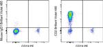 CD2 Monoclonal Antibody (RPA-2.10), Brilliant Violet™ 480, eBioscience™