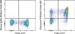 Granzyme B Antibody in Flow Cytometry (Flow)